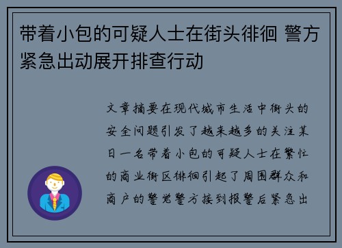 带着小包的可疑人士在街头徘徊 警方紧急出动展开排查行动